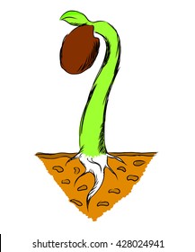 New born plant growing from seed. Vector illustration