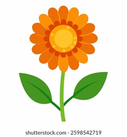 new calendula flower vector icon with white background