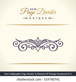 Nuevo divisor de páginas caligráficas y elemento de adorno divisor vintage. Elementos para el logotipo retro y la línea de borde decorativa vectorial