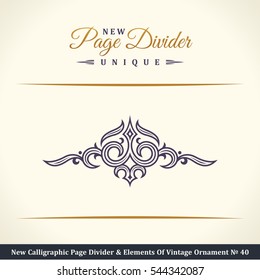 Nuevo caligráfico divisor de páginas y elemento de adorno vintage. Elementos para logotipo retro y cresta vectorial, línea de borde decorativo. Libro de oro sobre la frontera real