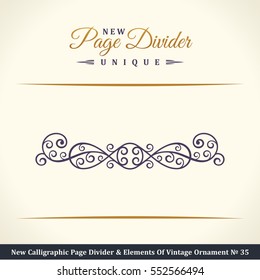 Nuevo caligráfico divisor de páginas y elemento de adorno vintage. Elementos para logotipo retro y cresta vectorial, línea de borde decorativo. Libro de oro sobre la frontera real
