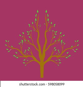 new cartoon style tree icon isolated on white background can use like design element
