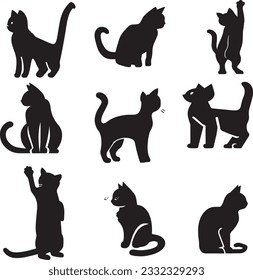 The new Cats silhouette, cat vector