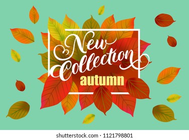 New collection autumn lettering with falling leaves. Creative inscription with colorful leaves in frame. Illustration with lettering can be used for banner, posters and leaflets