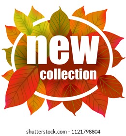 New collection lettering in circle. Creative inscription on colorful autumn leaves. Illustration with lettering can be used for banner, posters and leaflets