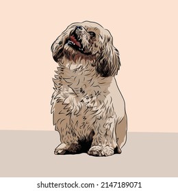 New Cute Dog Vector Illustration 