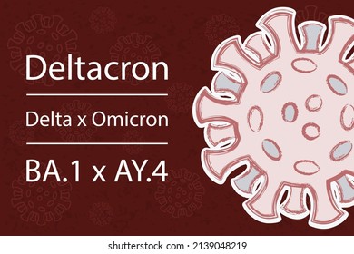 The new Deltacron variant is a combination of Delta and Omicron variants. BA.1 x AY.4 Recombinant . White text on dark red background. Different colors of spike proteins symbolize recombination.