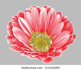 neue digitale Textildesign-Blumen für den Druck