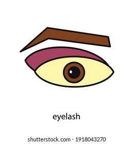 new eyelash vector type icon