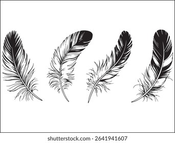 A new Feather Silhouette Design