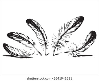 A new Feather Silhouette Design