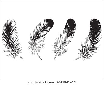 A new Feather Silhouette Design