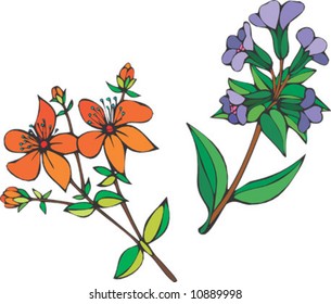 New Flower Design