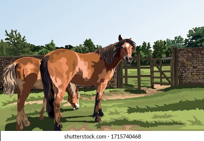 New Forest Ponies, Hampshire, vector de Inglaterra