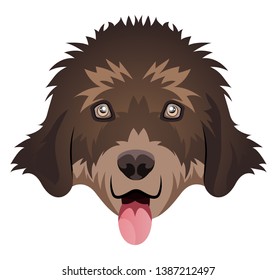 New Found Land illustration vector on white background