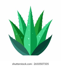 new fresh Aloe Vera slice vector icon on white background