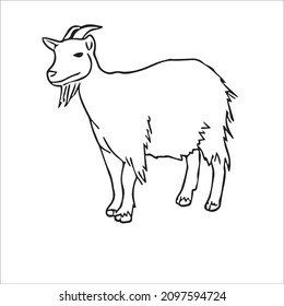 New Funny Goat Cute Line Art And Vector Art, Goat Illustration And Outline