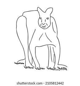 new funny Kangaroo line art,Kangaroo vector art,Kangaroo line drawing,Kangaroo illustrations
