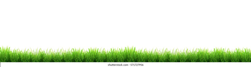 New green grass Lawn background