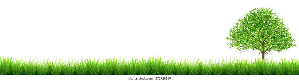 New green grass Lawn background