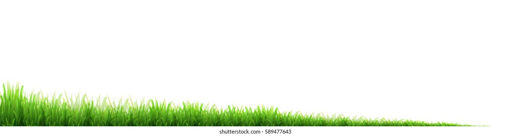 New green grass Lawn background