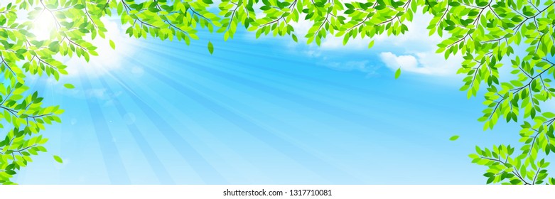 New green leaf green background