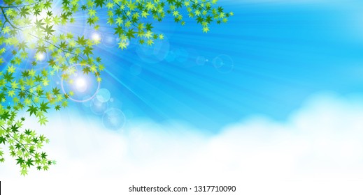 New green leaf green background
