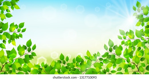New green leaf green background
