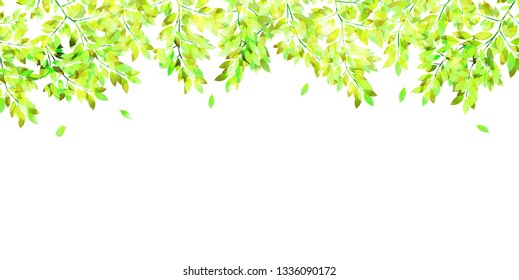 New green leaf green background