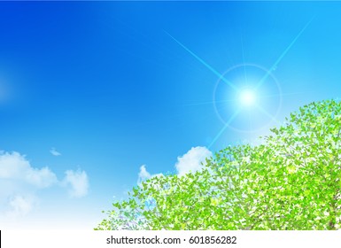 New green leaf sky background