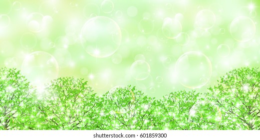 New green leaf sky background