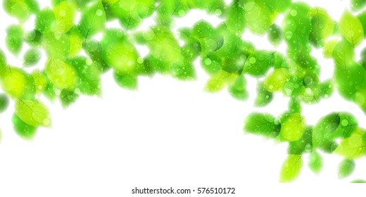 New green leaves landscape background