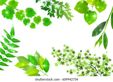 New green leaves landscape background