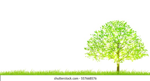 New green tree sky background