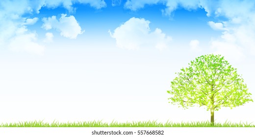 New green tree sky background