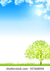 New green tree sky background