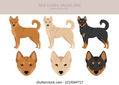 New Guinea singing dog clipart. All coat colors set.; All dog breeds characteristics infographic. Vector illustration