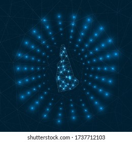 New Hampshire digital map. Glowing rays radiating from the us state. Network connections and telecommunication design. Vector illustration.