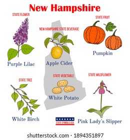 New Hampshire. Set of USA official state symbols. Vector hand drawn illustration