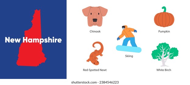 New Hampshire states with symbol icon of chinook pumpkin skiing red-spotted newt white birch illustration