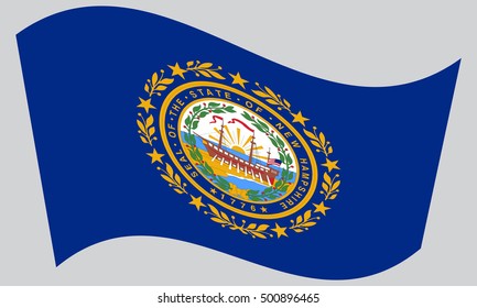 New Hampshirite Official Flag Symbol American Stock Vector (Royalty ...