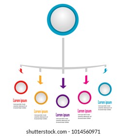 New infographic chart data illustration template vector