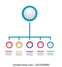 New infographic chart data illustration template vector