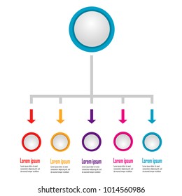 New infographic chart data illustration template vector
