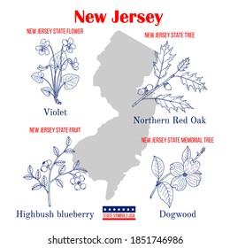 New Jersey. Set of USA official state symbols. Vector hand drawn illustration