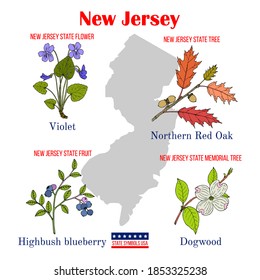 New Jersey. Set of USA official state symbols. Vector hand drawn illustration