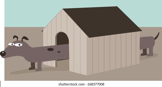 New kennel