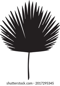 NEW leaf black silhouettes of tropical leaves palms.eps
