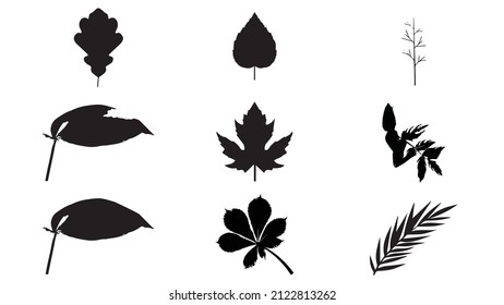 Neue Leaf-Vektorbilder schwarz