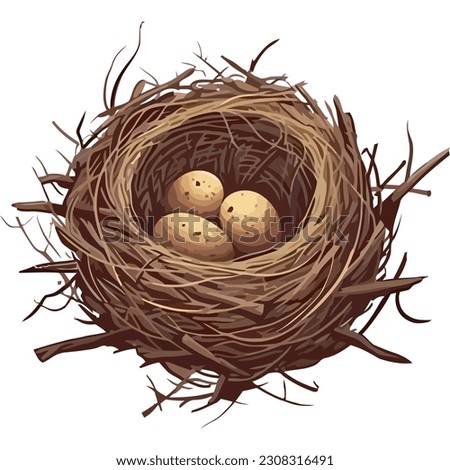 New life celebration bird nest holds eggs isolated